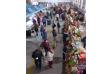 FERIA DE LOS QUINTEROS